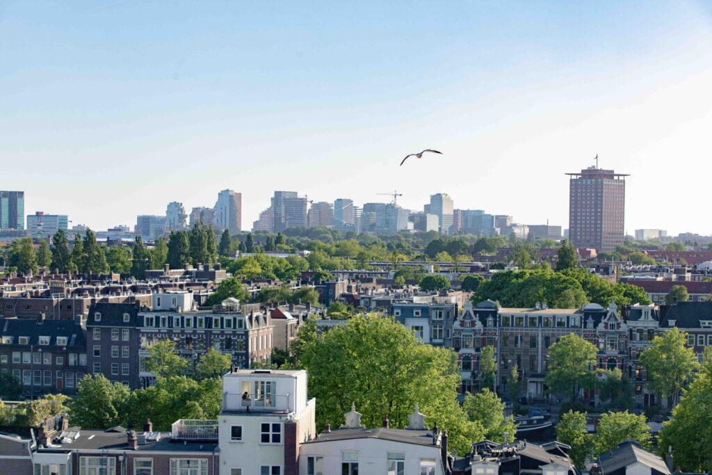 Zuid